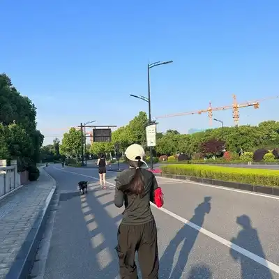 曹嘉